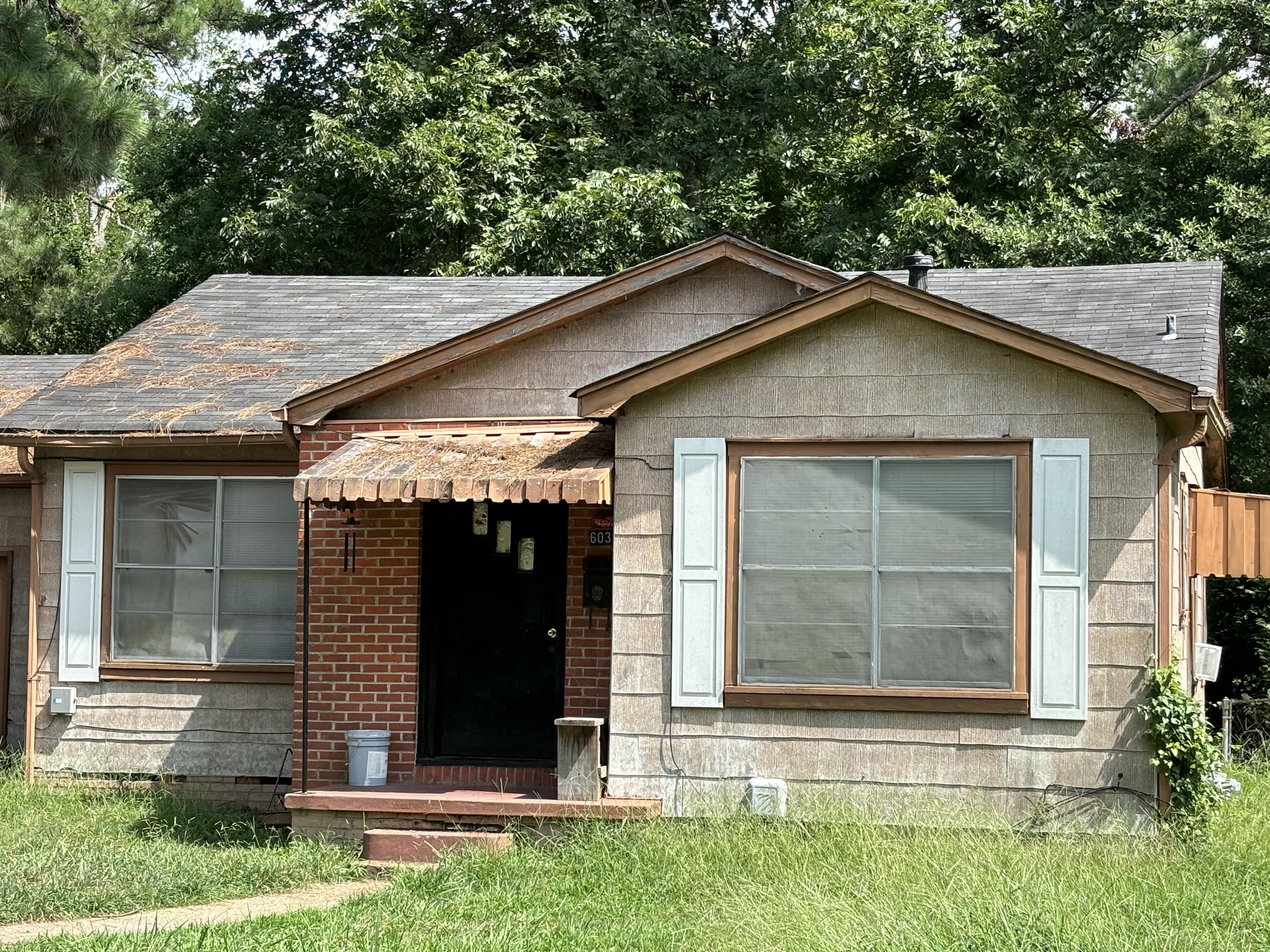603 Mitchell Lane